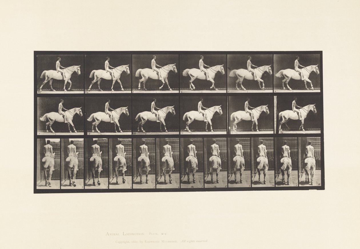 Tallrik 582. Gång;Sadel; Ryttare, 43, naken; Ljusgrå häst Smith av Eadweard Muybridge
