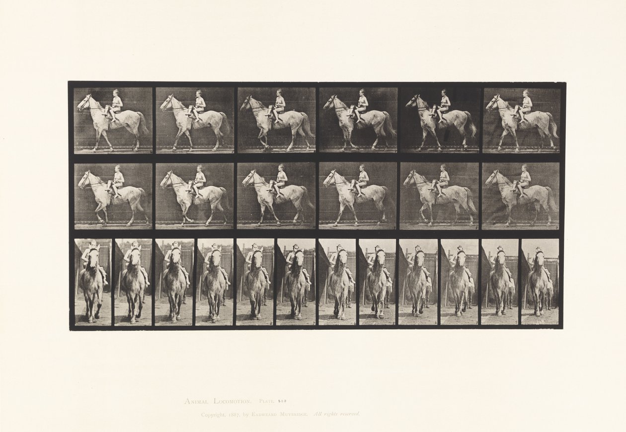 Tallrik 583.Gående; Sadel; Kvinnlig Ryttare; Naken; Grey Horse Tan, 1885 av Eadweard Muybridge