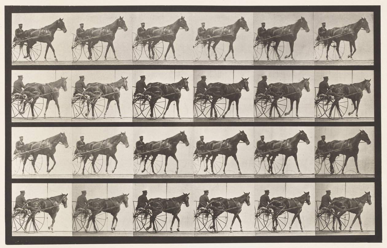 Tallrik 587.Gående; Sulky; Sorrel Mare Nellie Rose, 1885 av Eadweard Muybridge