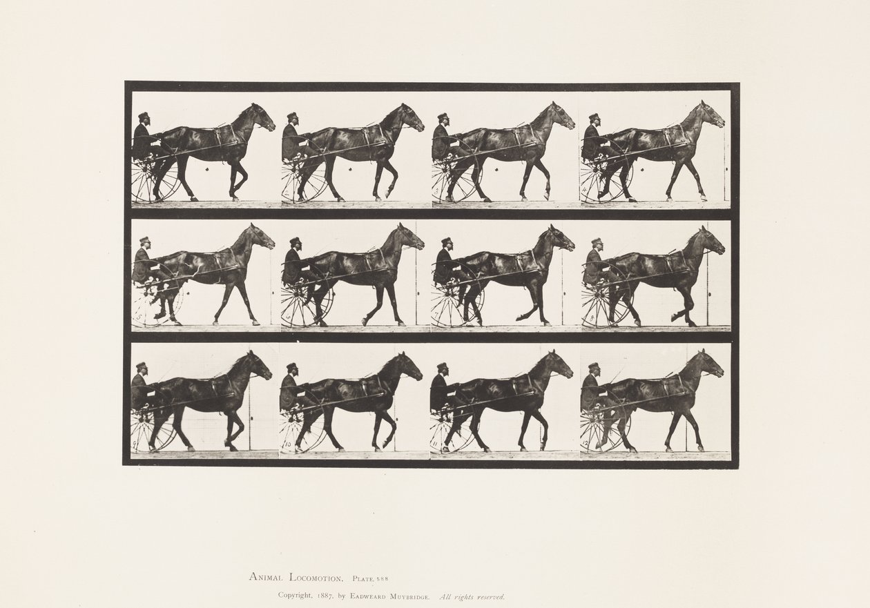 Tallrik 588.Gående; Sulky; Bay Horse Reuben, 1885 av Eadweard Muybridge