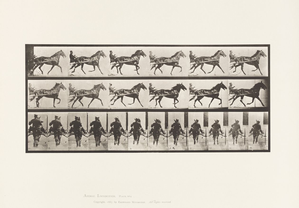 Tavla 594. Gungande (Pacing): Sulky; Brun häst Pronto av Eadweard Muybridge