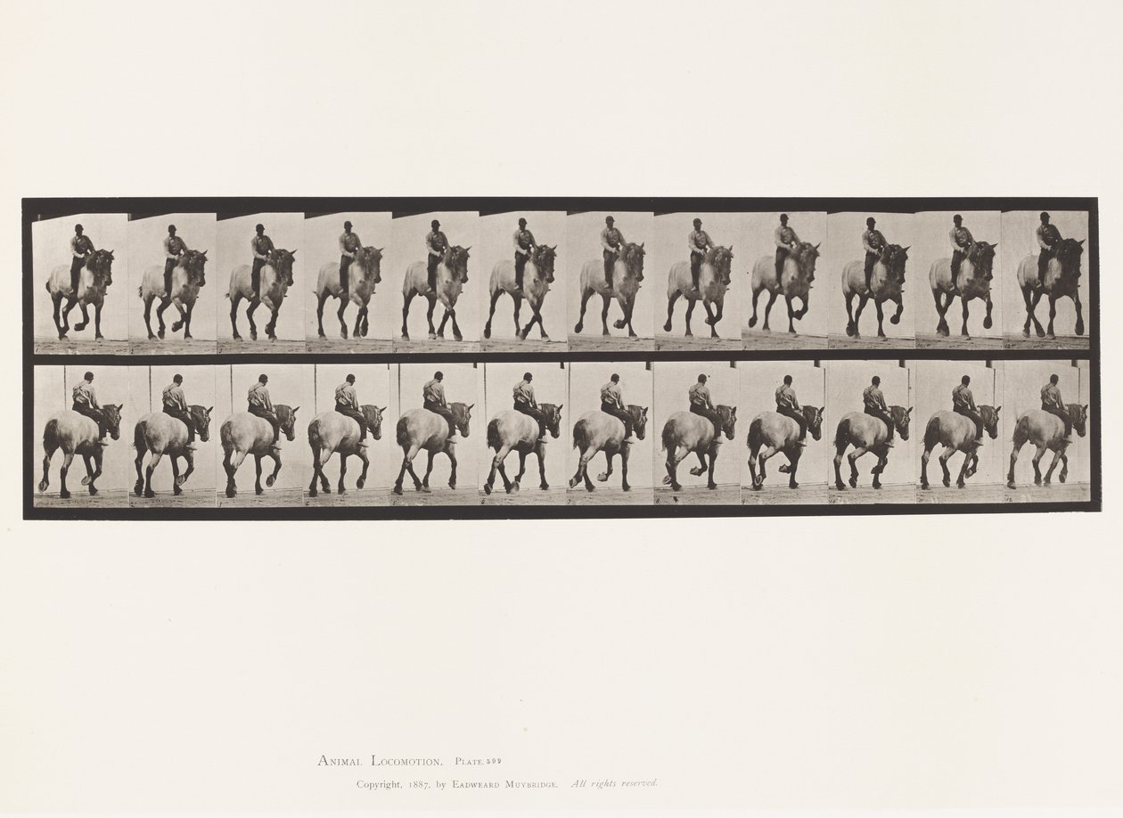 Tallrik 599. Trav; Barbacka; Mörkgrå Dusel av Eadweard Muybridge