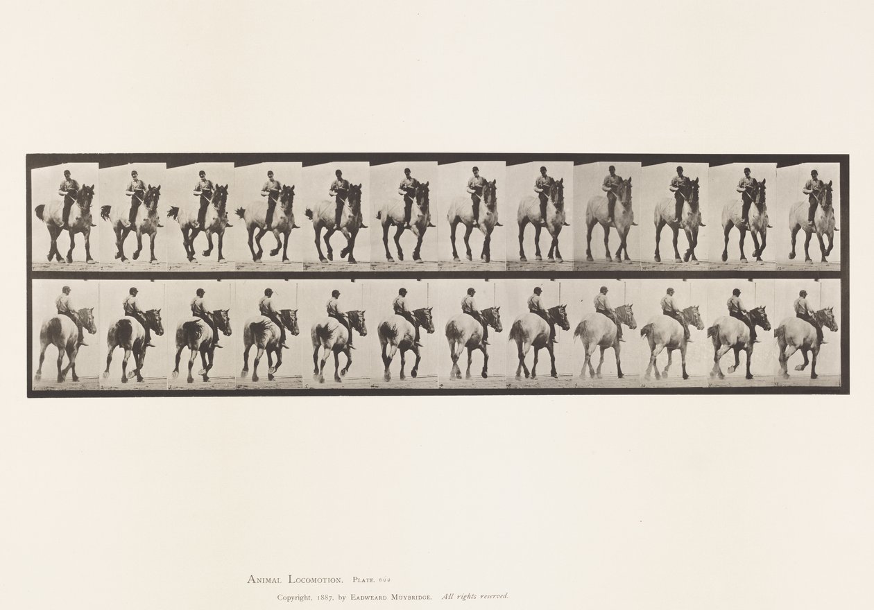 Tallrik 600. Trav; Barbacka; Mörkgrå Dusel av Eadweard Muybridge