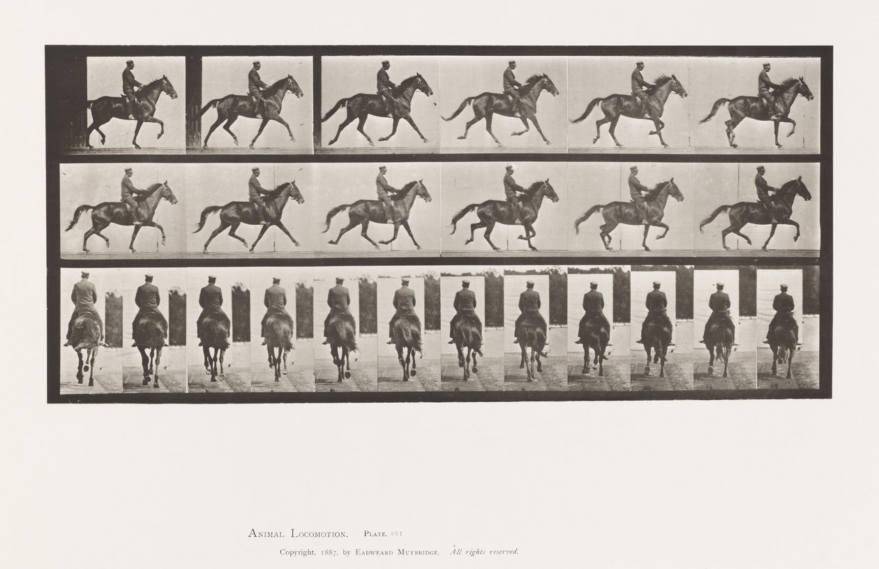 Tallrik 601. Trav; Sadel; Brown Mare Beauty av Eadweard Muybridge