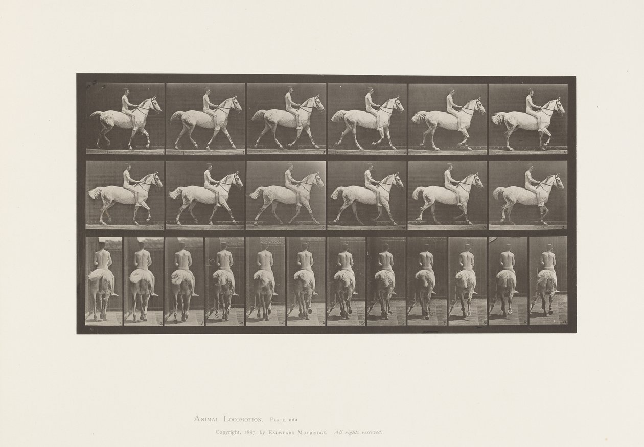 Tallrik 602.Trav;Barback; Ryttare, 43, naken; ljusgrå häst Smith, 1885 av Eadweard Muybridge