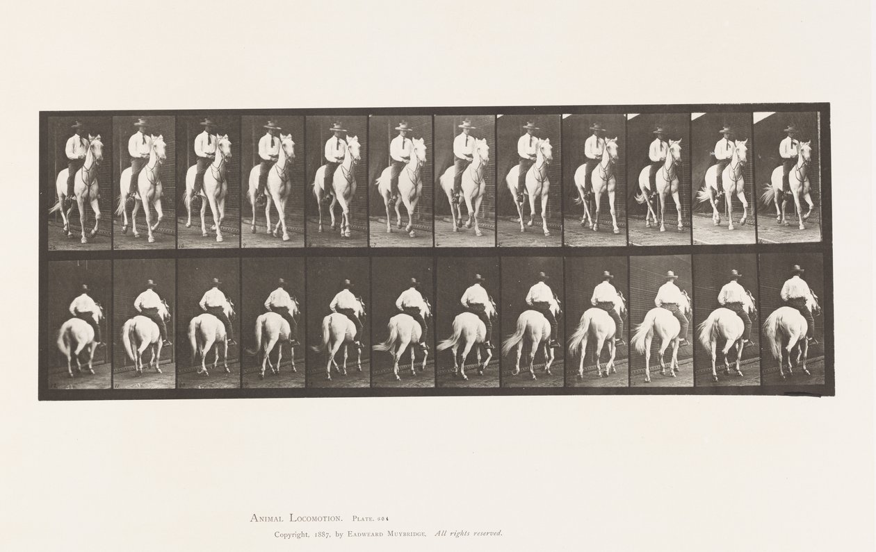 Tallrik 604. Trav; Sadel; White Horse, Elberon av Eadweard Muybridge