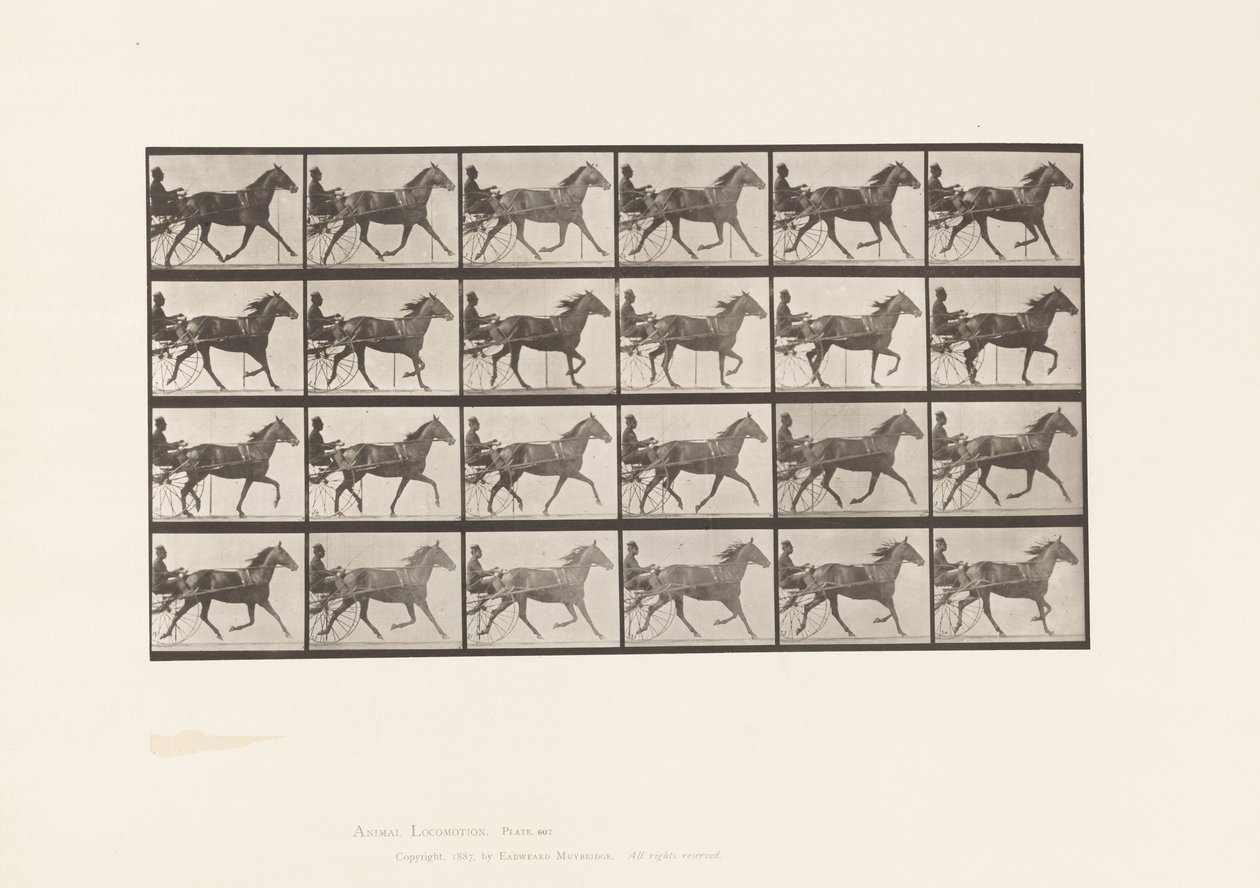 Tallrik 607. Trav; Sulky; Bay Mare, Lizzie M. av Eadweard Muybridge
