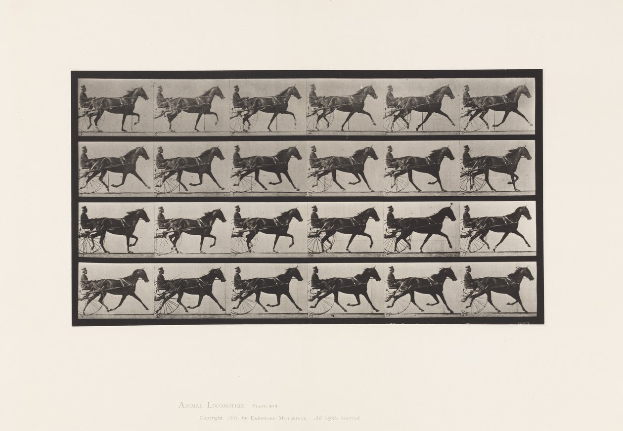 Tallrik 608. Trav; Sulky; Sorrel Mare, Flode Holden av Eadweard Muybridge