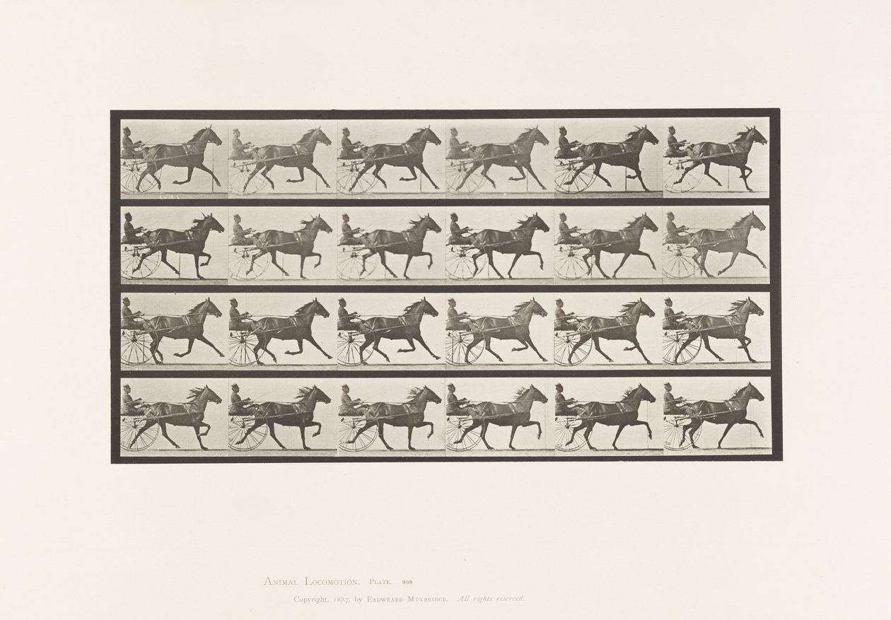 Tallrik 609. Trav; Sulky; Bay Mare, Lizzie M. av Eadweard Muybridge