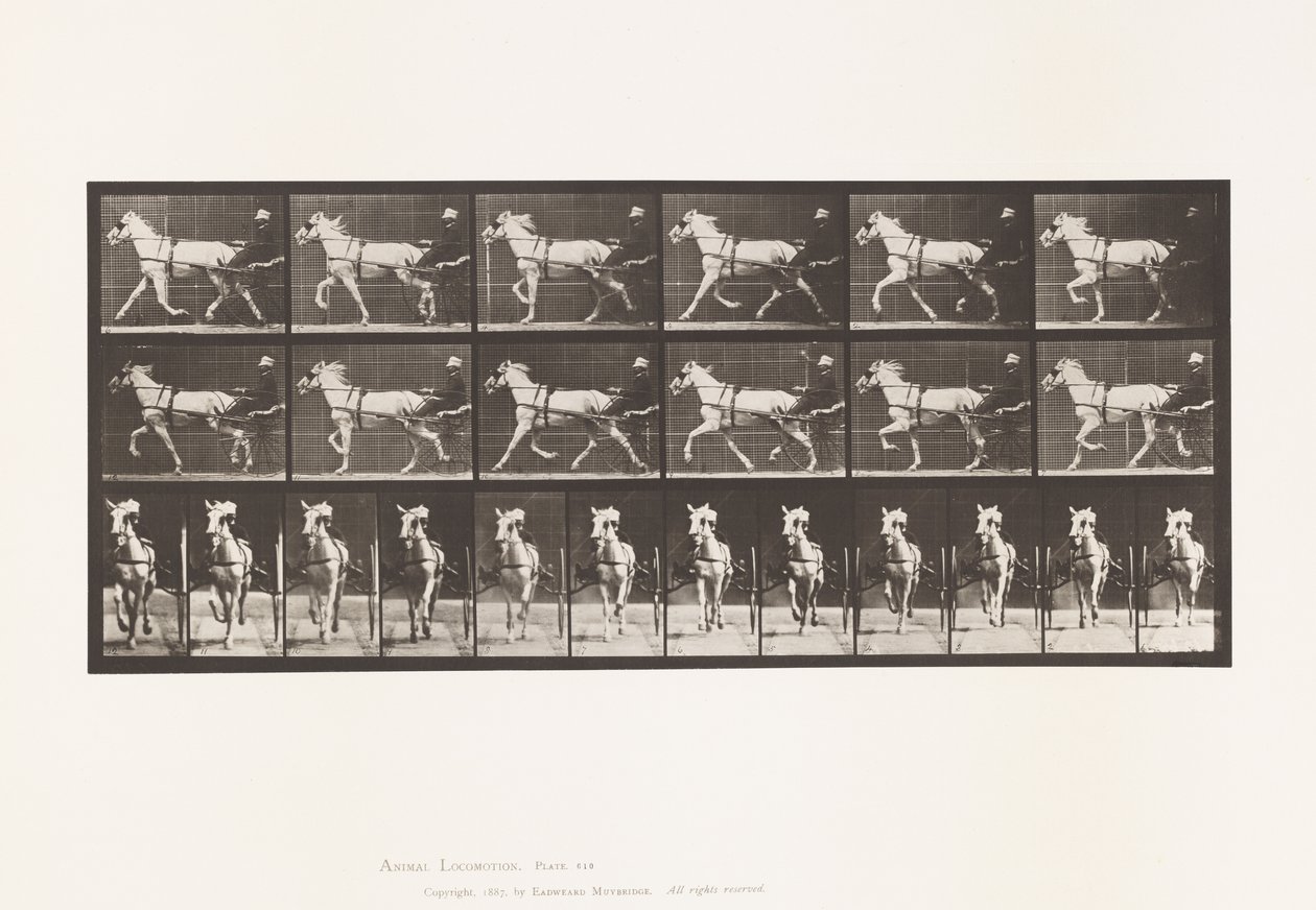 Tallrik 610. Trav; Sulky; Grey Mare, Katydid av Eadweard Muybridge