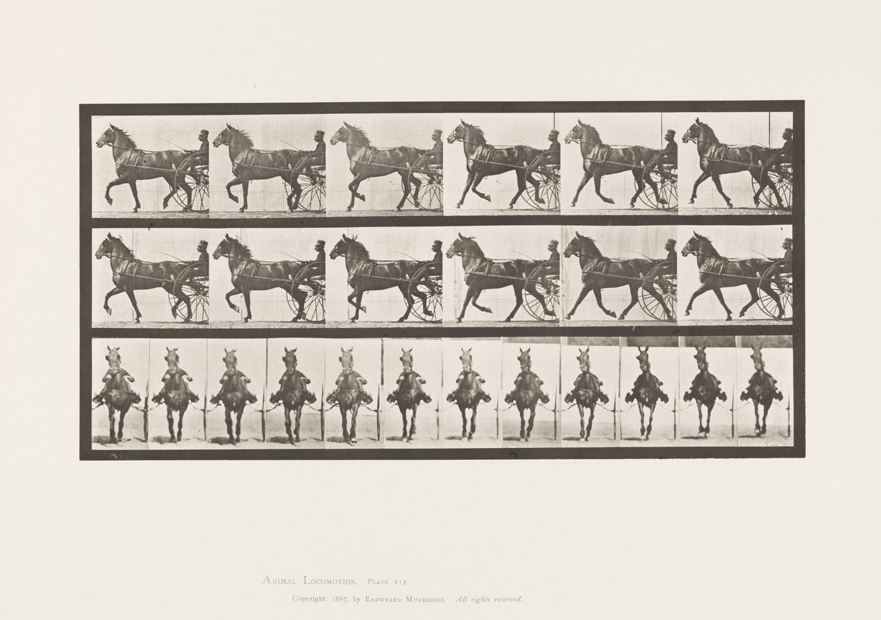 Tallrik 612. Trav; Sulky; Bay Horse, Dereumd av Eadweard Muybridge