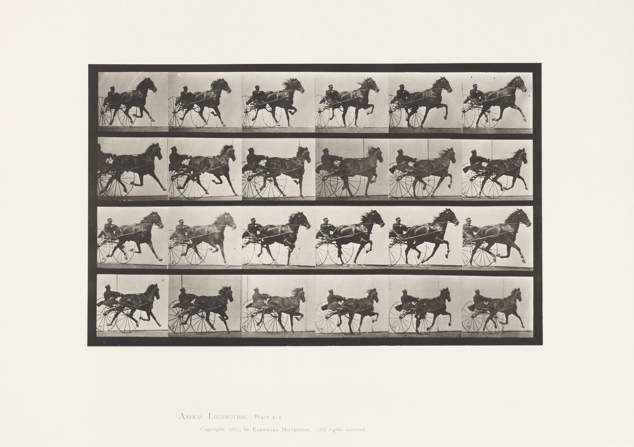 Tallrik 613. Trav; Sulky; Sorrel Mare Nellie Rose av Eadweard Muybridge
