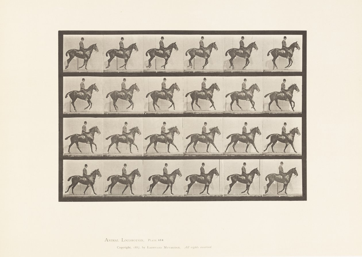 Tavla 616. Galopp; Sadel; Bay Horse Daisy av Eadweard Muybridge