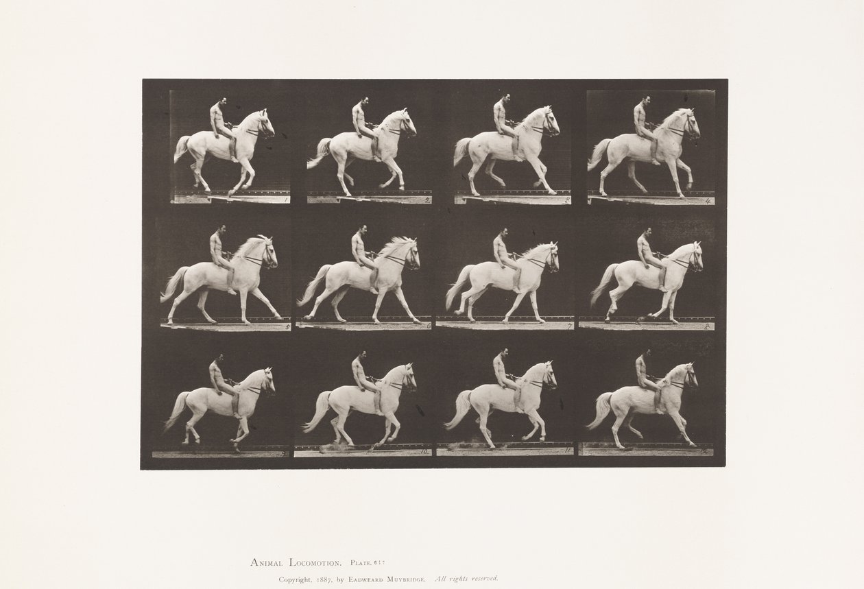 Tavla 617. Galopp; Barbacka; Ryttare, 106, naken; White Horse Clinton, 1885 av Eadweard Muybridge