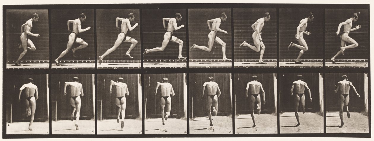 Skylt 61. Springa i full fart (Ofullkomlig action, skor) av Eadweard Muybridge