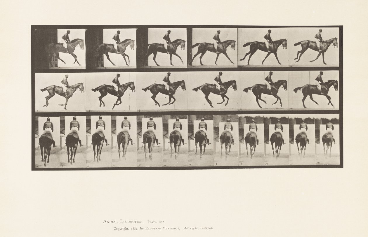Tallrik 620. Galopp; Sadel; Fullblods Bay Mare Annie 6. av Eadweard Muybridge