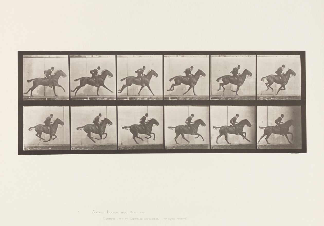 Tallrik 624. Galopp; Sadel; Bay Horse Daisy av Eadweard Muybridge
