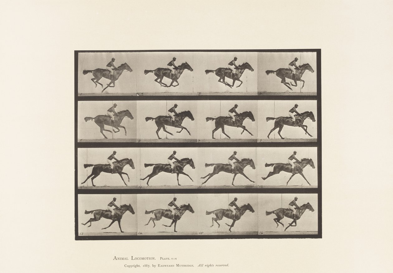 Tallrik 626. Galopp; Fullblods Bay Mare Annie G. av Eadweard Muybridge