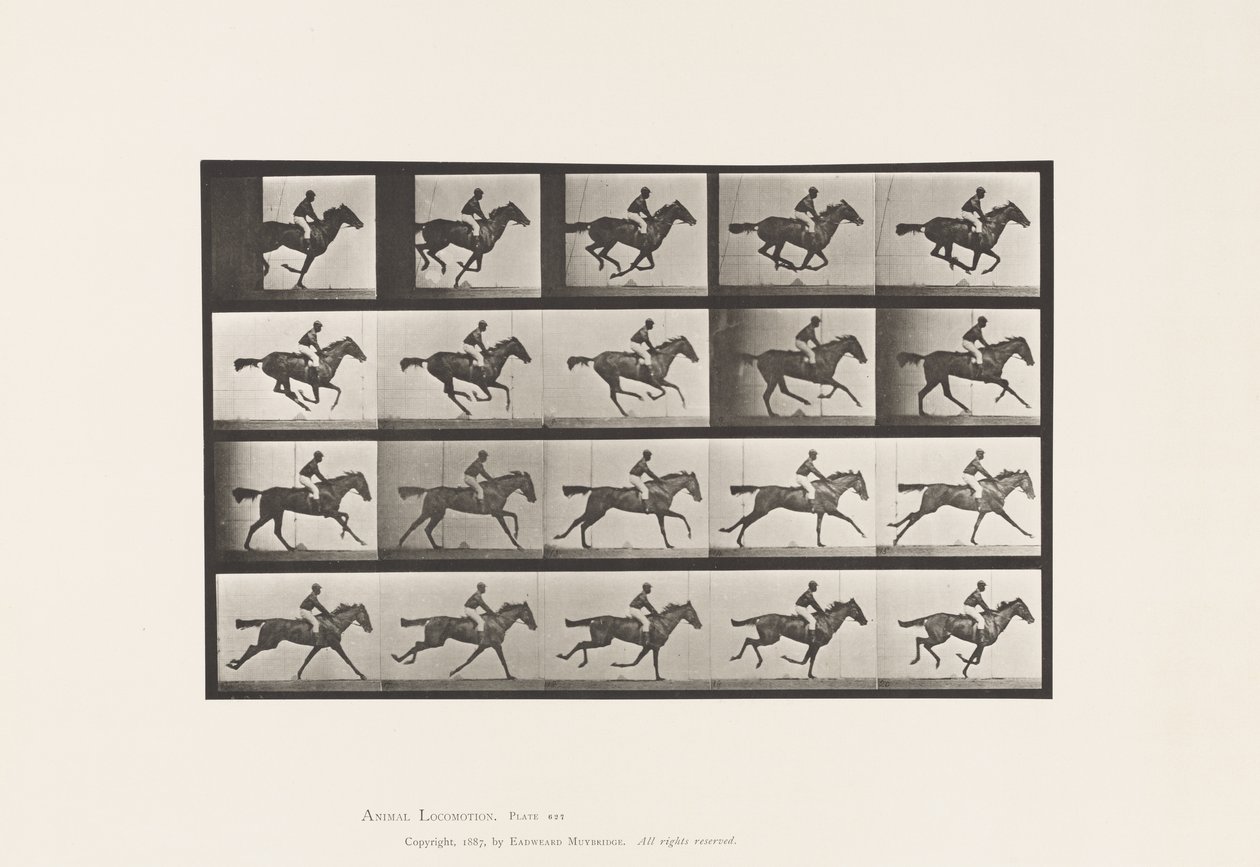 Tallrik 627. Galopp; Fullblods Bay Mare Annie G. av Eadweard Muybridge
