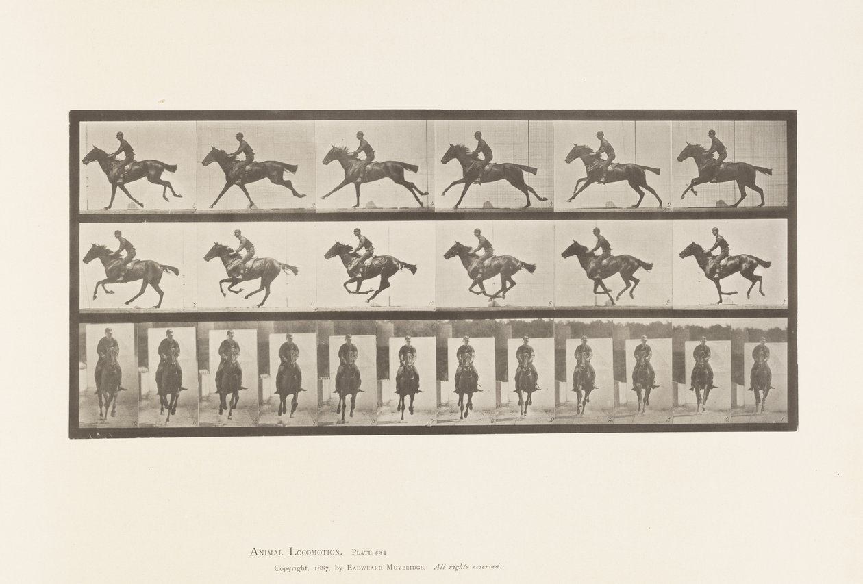 Tallrik 631. Galopp; Sadel; Fullblod Bay Horse Bukett av Eadweard Muybridge