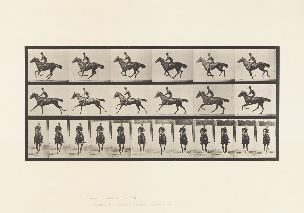 Tallrik 632. Galopp; Sadel; Fullblod Bay Horse Bukett av Eadweard Muybridge
