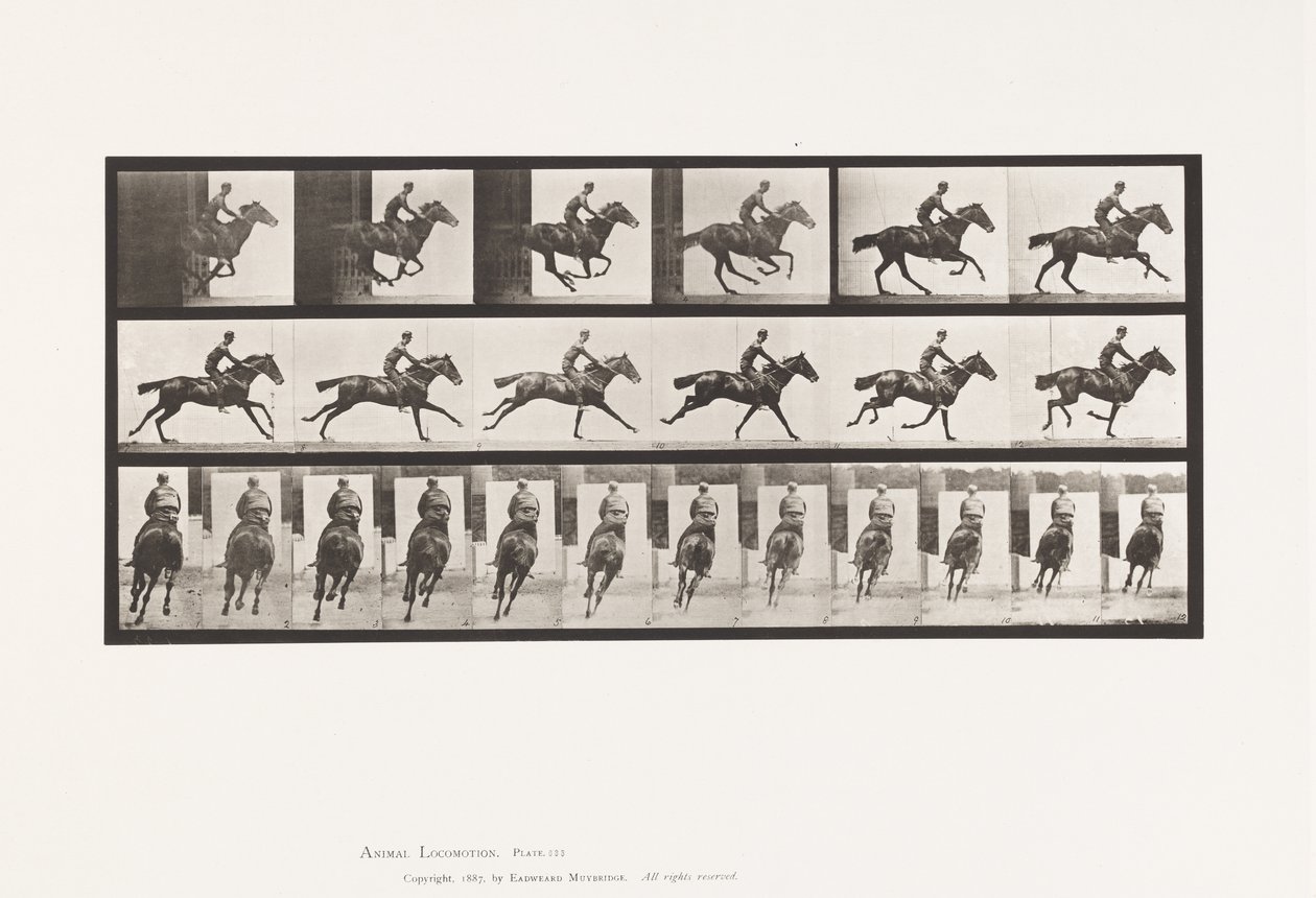 Tallrik 633. Galopp; Sadel; Fullblod Bay Horse Bukett av Eadweard Muybridge