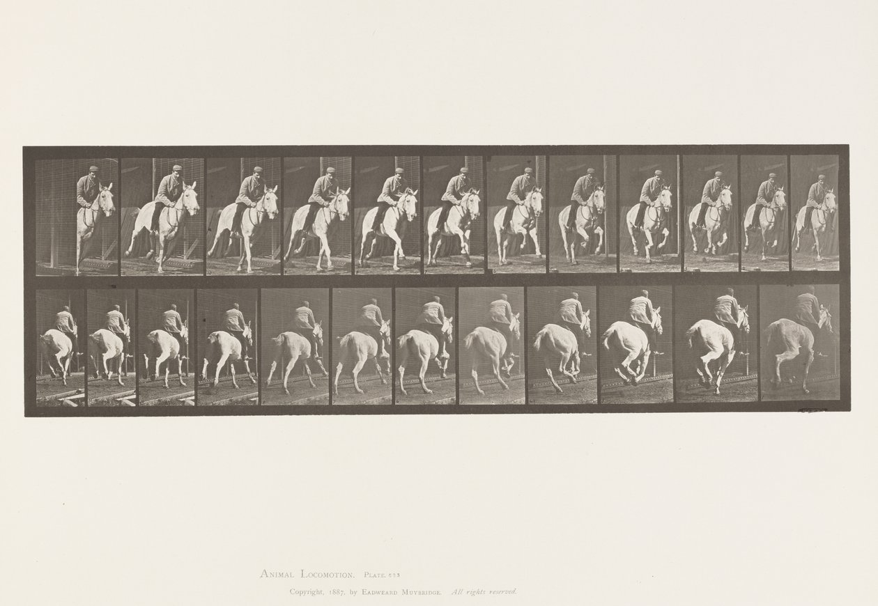 Tallrik 635. Galopp; Sadel; Grey Mare, Pandora av Eadweard Muybridge