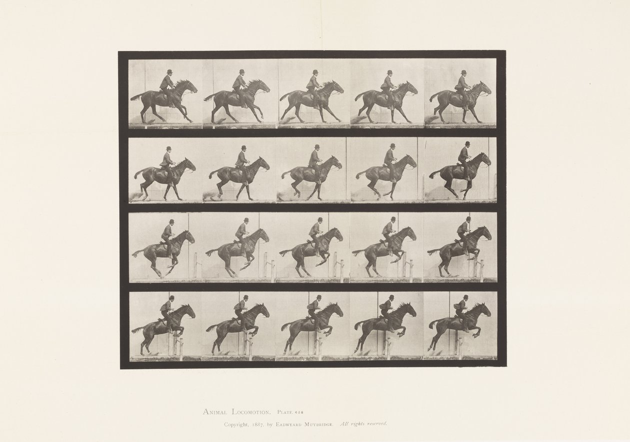 Plåt 636. Hoppa ett hinder; Sadel; Förbereder sig för språnget av Eadweard Muybridge