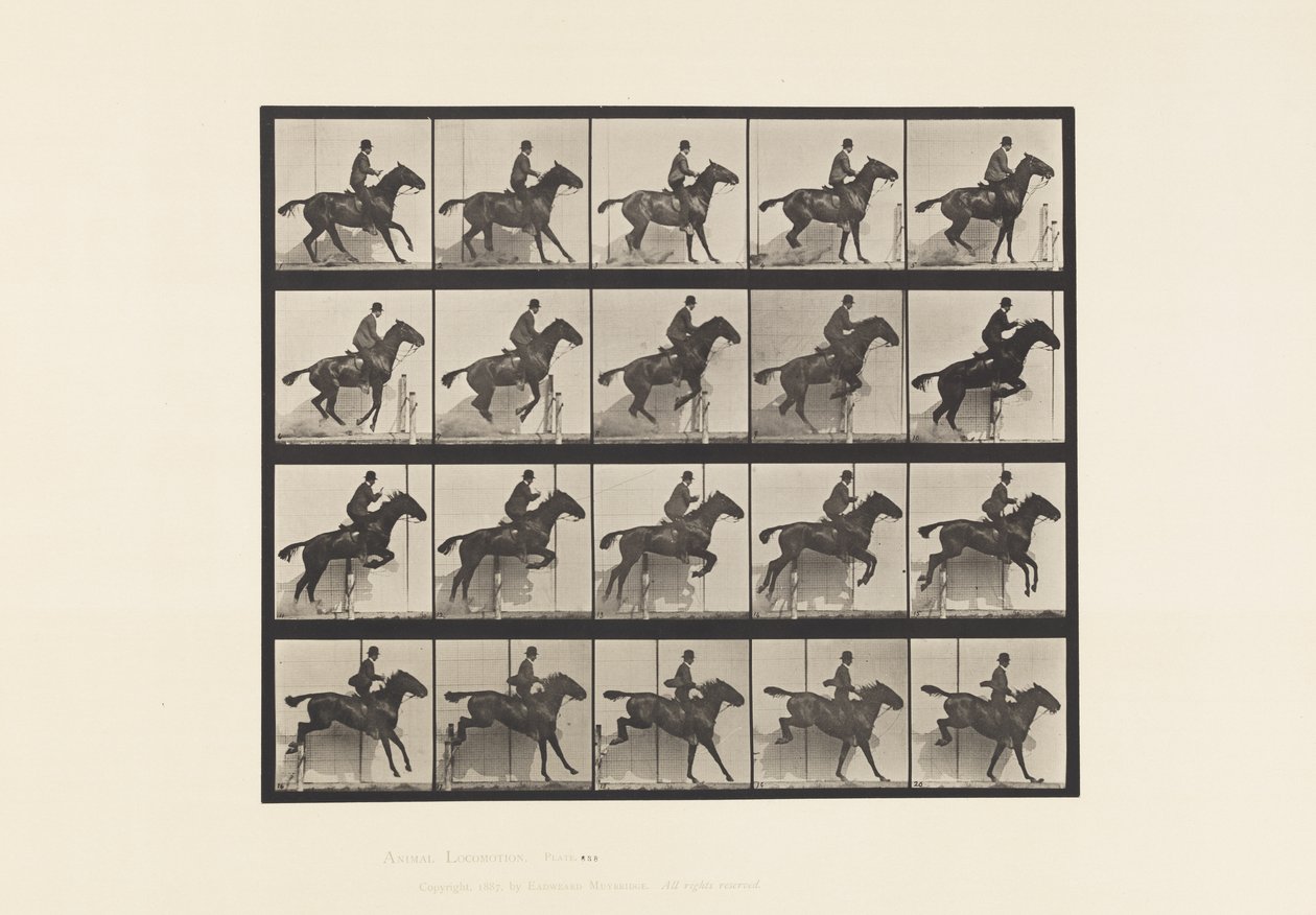 Plåt 638. Hoppa ett hinder; Sadel; Bay Horse Daisy av Eadweard Muybridge