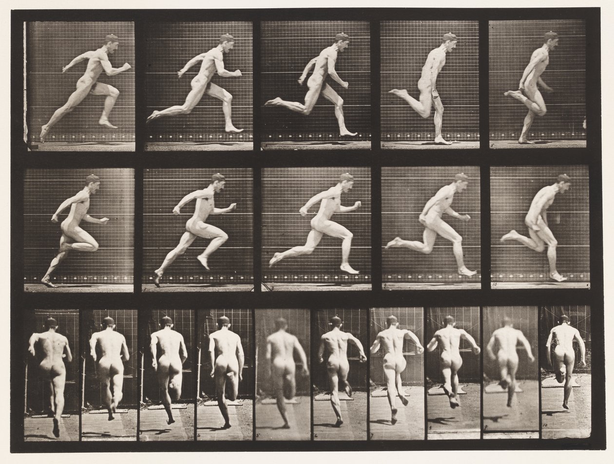 Plåt 63. Kör i full fart. av Eadweard Muybridge