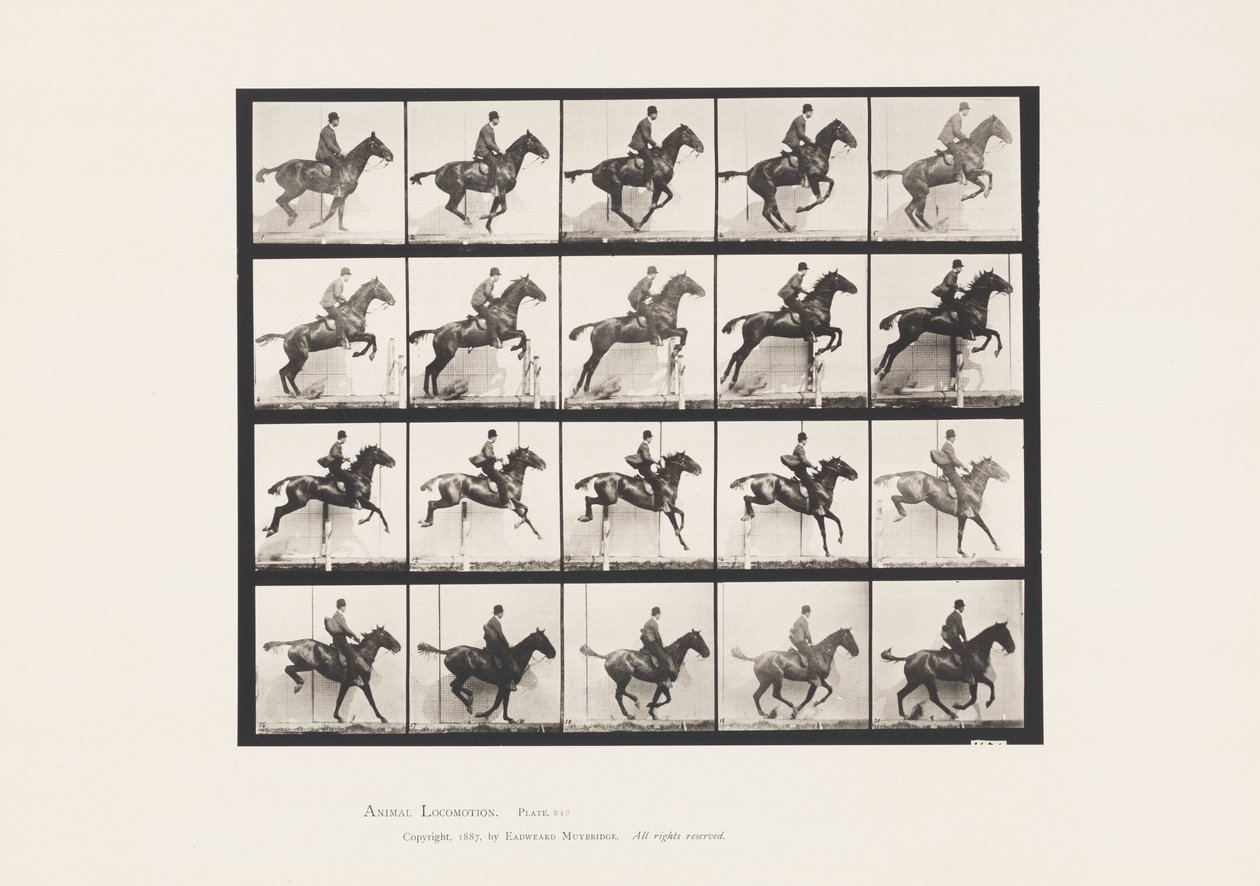Plåt 640. Hoppa ett hinder; Sadel; Bay Horse Daisy av Eadweard Muybridge