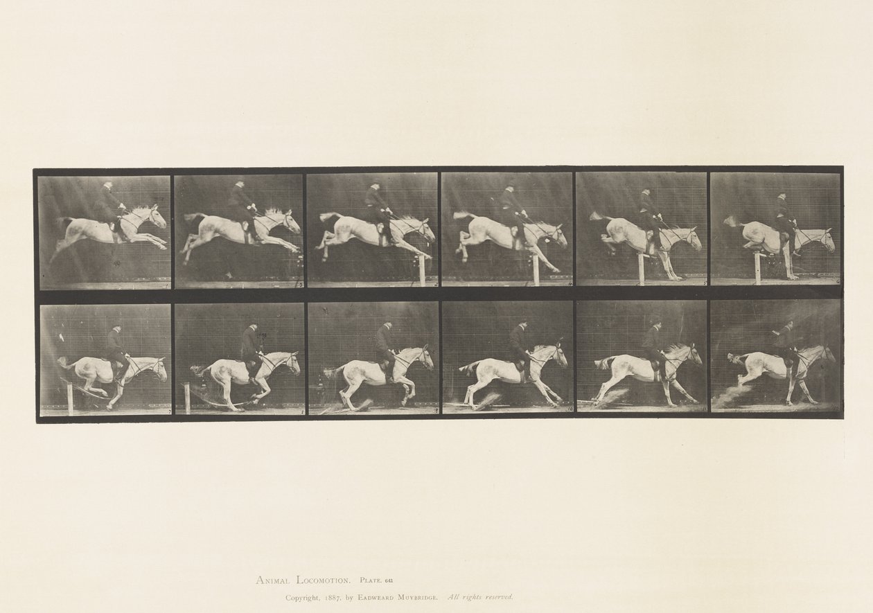 Plåt 641. Hoppa ett hinder; Sadel; Knacka över hinder och av Eadweard Muybridge