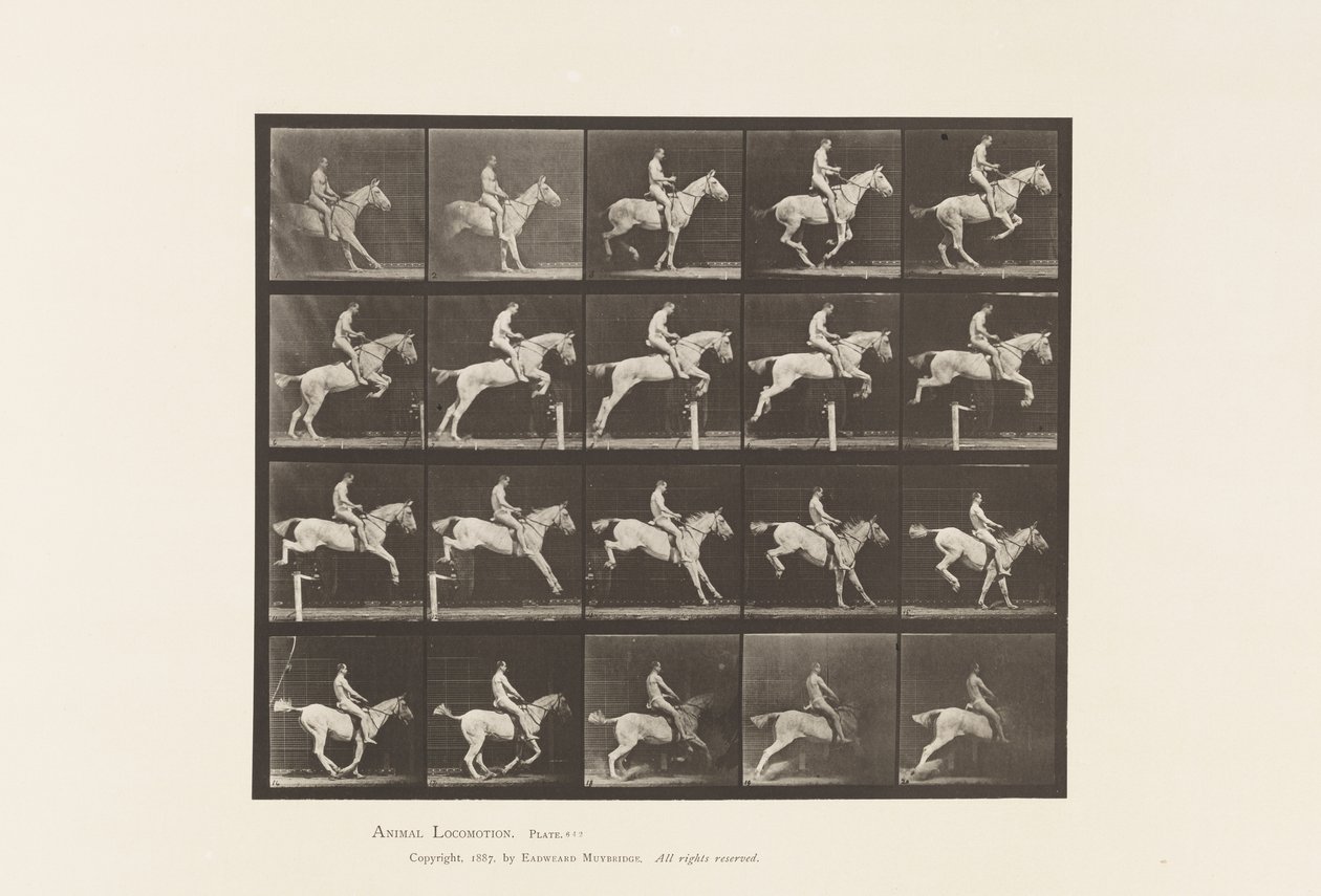Tavla 642. Hoppa ett hinder; Sadel; Ryttare, 105, naken; Grå sto, 1885 av Eadweard Muybridge