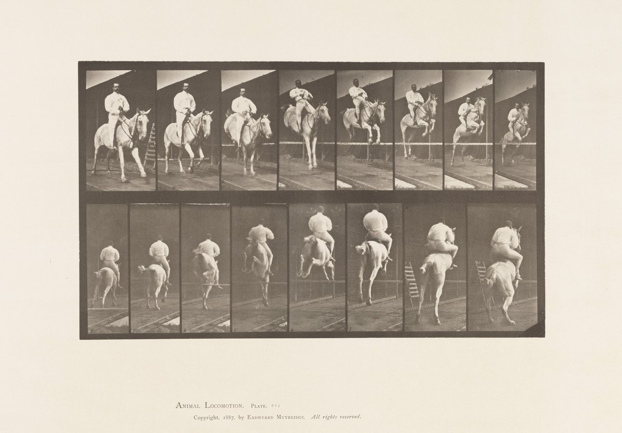 Plåt 644. Hoppa ett hinder; Sadel; Röjning och landning av Eadweard Muybridge