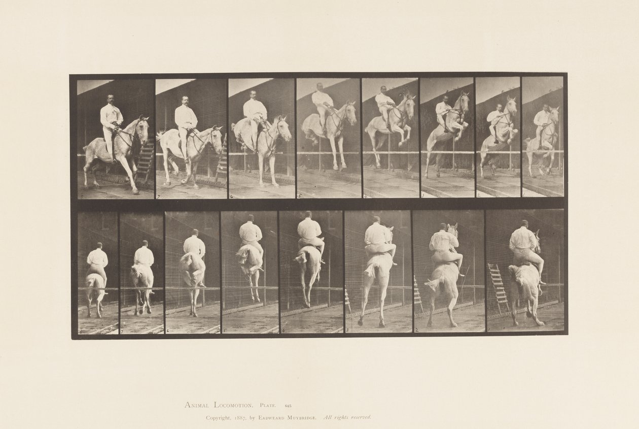 Platta 645. Hoppa ett hinder; Sadel; Röjning och landning av Eadweard Muybridge