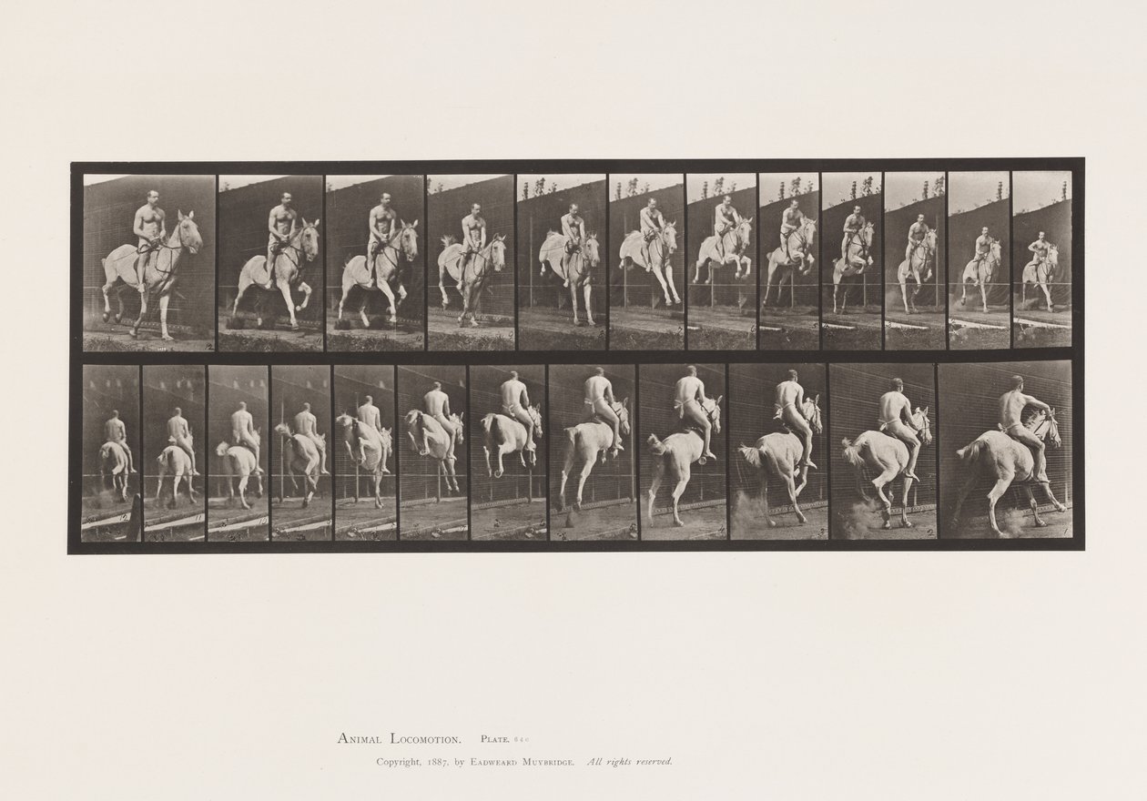 Platta 646. Hoppa ett hinder; Sadel; Ryttare, 105, naken;, 1885 av Eadweard Muybridge