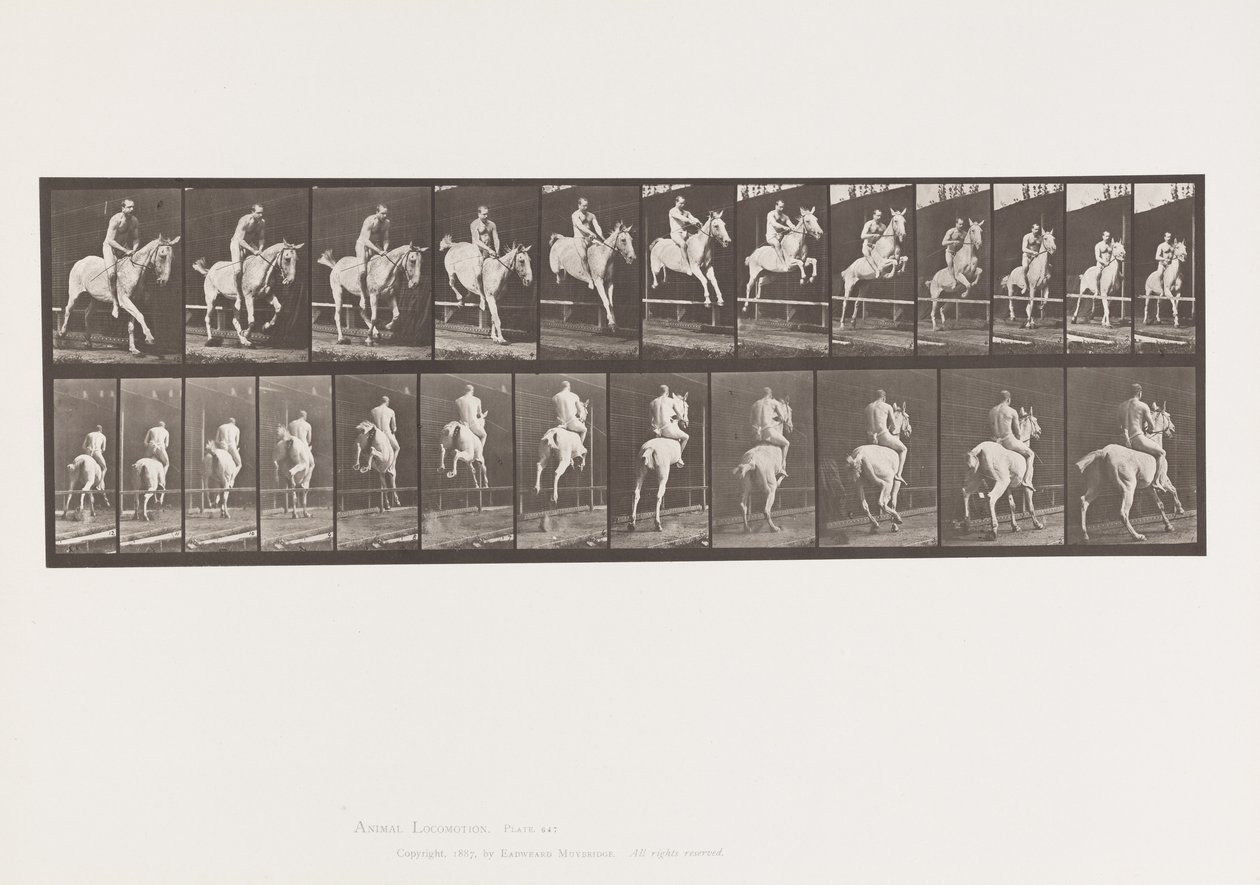 Plåt 647. Hoppa ett hinder; Barbacka; Ryttare av Eadweard Muybridge