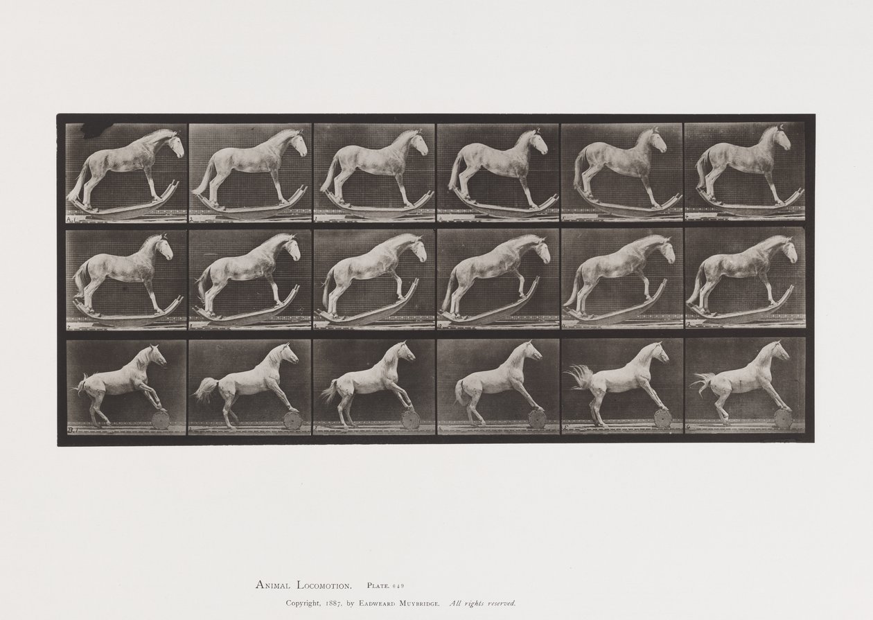 Tallrik 649.A, Hornet, Rocking; B, Eagle, Rolling Barrel, Etc. av Eadweard Muybridge