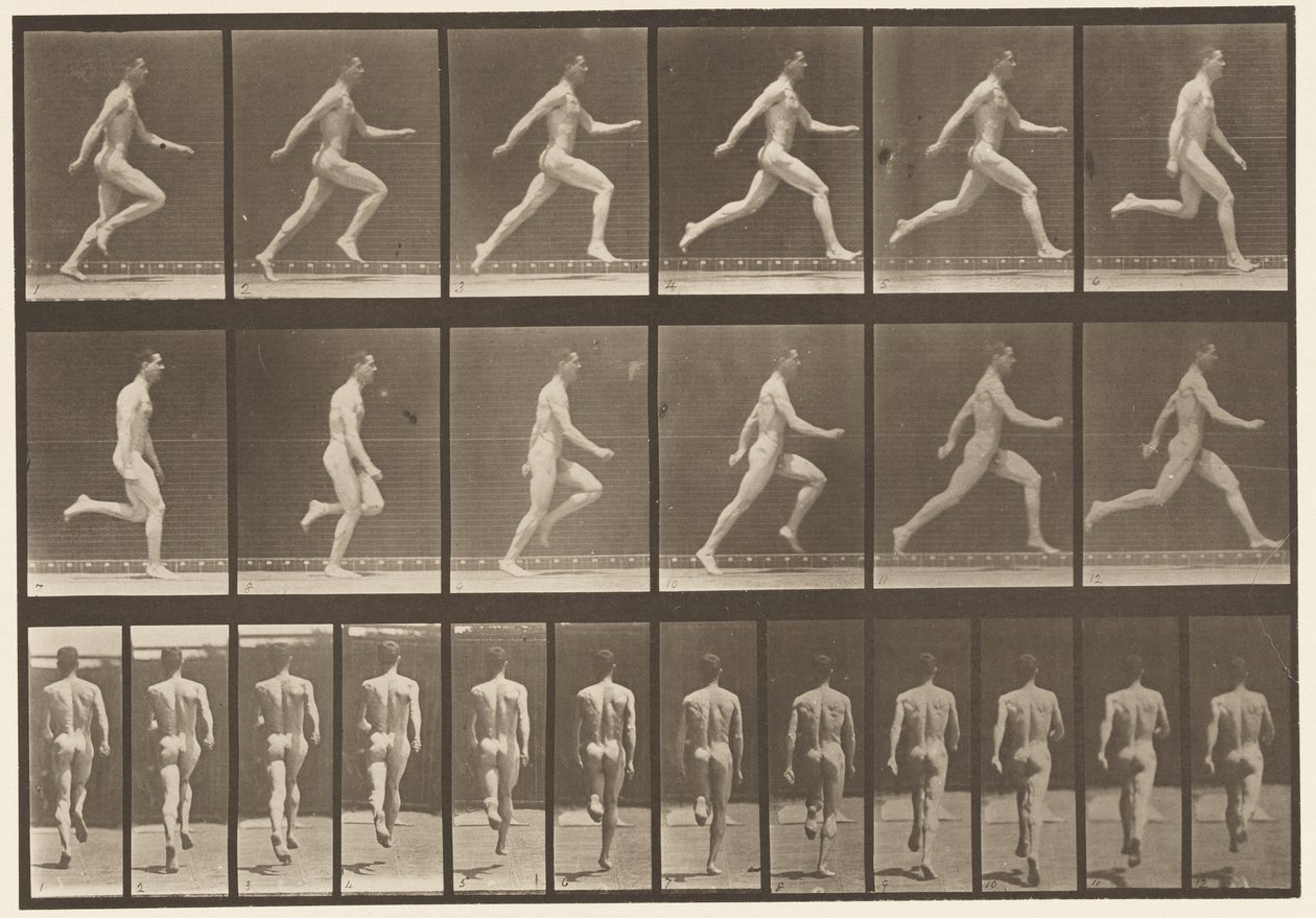 Plåt 64. Kör i full fart av Eadweard Muybridge