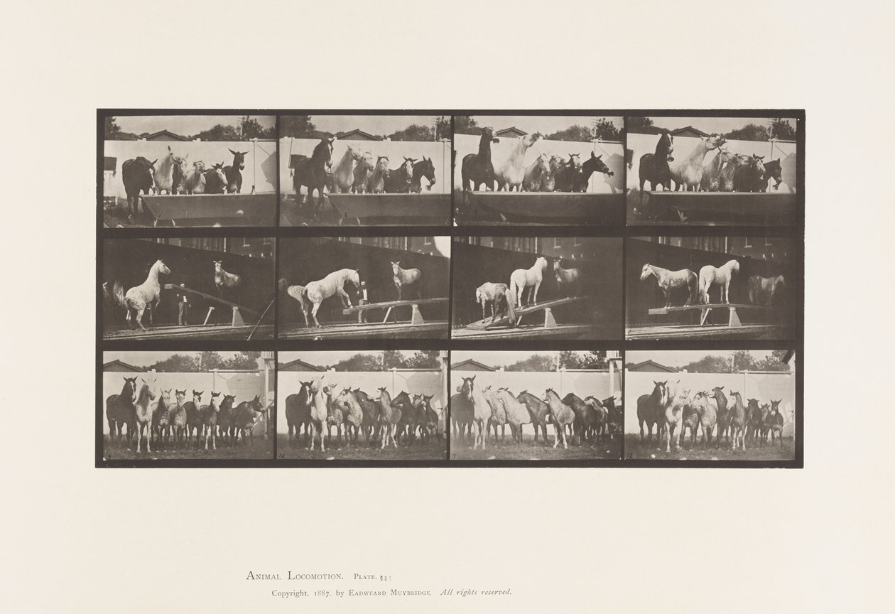 Tavla 651.A, Klockringning; B, Vippbräda; C, militärövning av Eadweard Muybridge