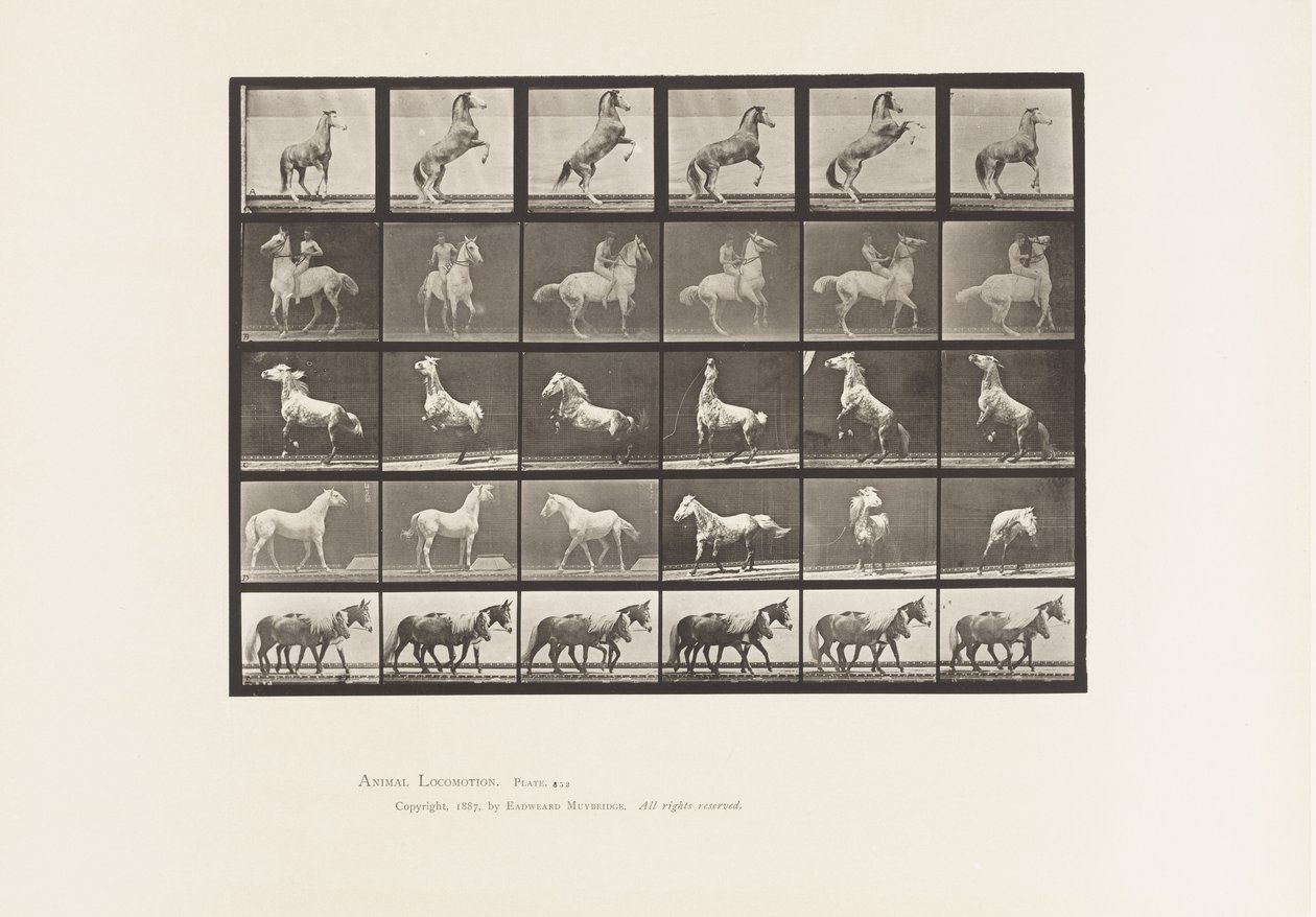Plåt 652. A, B, C, D, E, Hästuppfödning m.m. av Eadweard Muybridge
