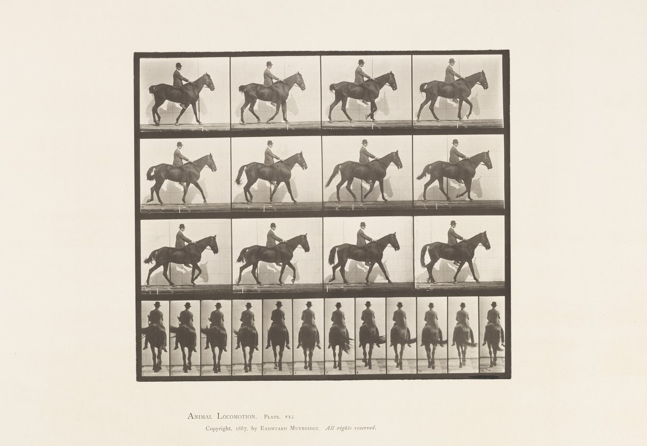 Tallrik 655. Gång; Sadel; Spavin, höger bakben; Häst av Eadweard Muybridge