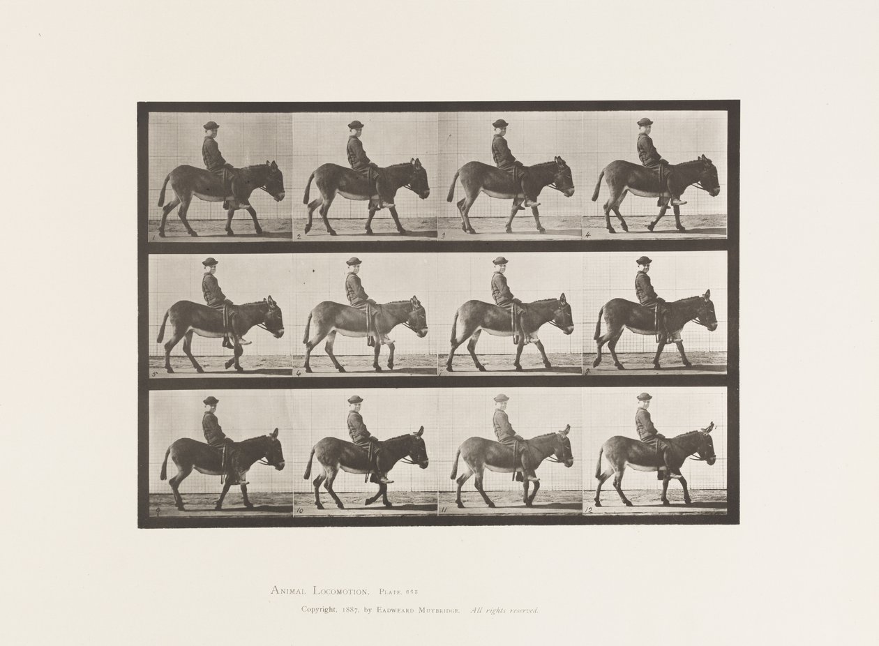 Tallrik 665. Ass; Gående; Barbacka; a Boy Riding, Jennie av Eadweard Muybridge