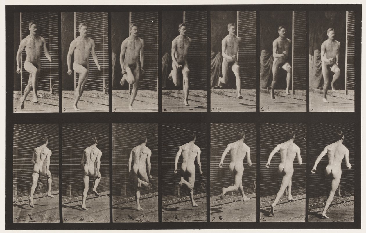 Plåt 66. Löpande av Eadweard Muybridge