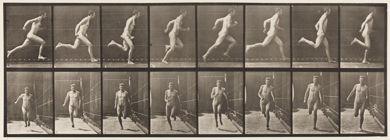 Plåt 67. Running, 1872-1885 av Eadweard Muybridge