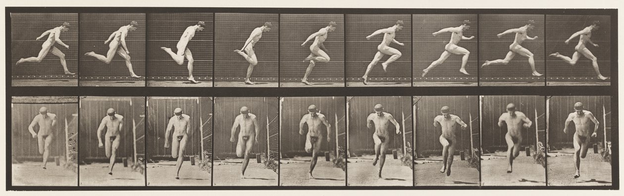 Plåt 68. Löpande, 1872-1885 av Eadweard Muybridge