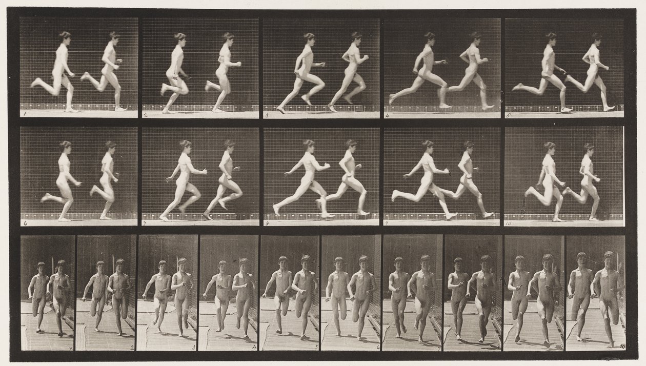 Skylt 69. Kör två modeller, 1872-1885 av Eadweard Muybridge