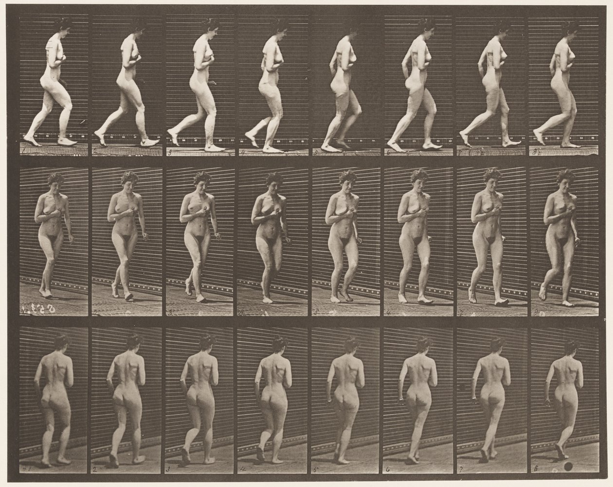 Plåt 70. Running., 1872-1885 av Eadweard Muybridge
