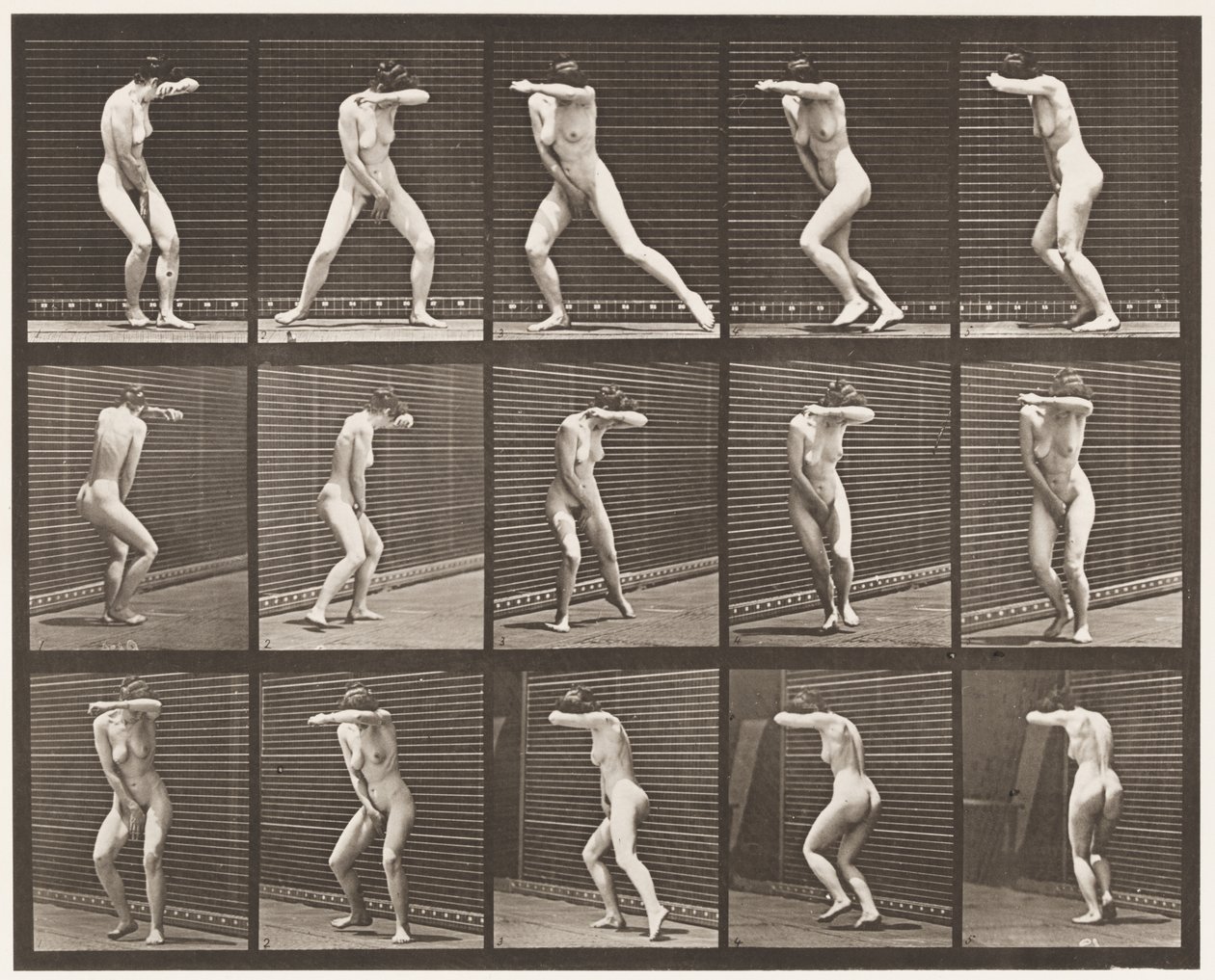 Plåt 73. Vänder sig om i överraskning och springer iväg, 1872-1885 av Eadweard Muybridge