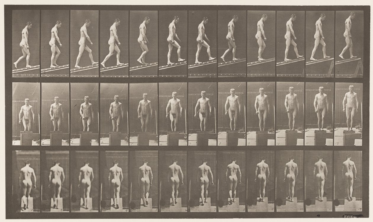 Plåt 74. Stigande lutning, vinkel 1 på 4 av Eadweard Muybridge